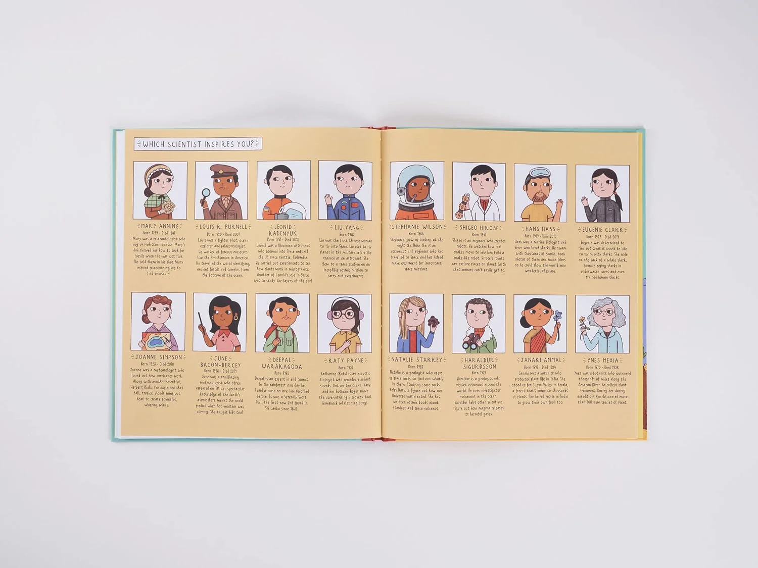 Product image 6